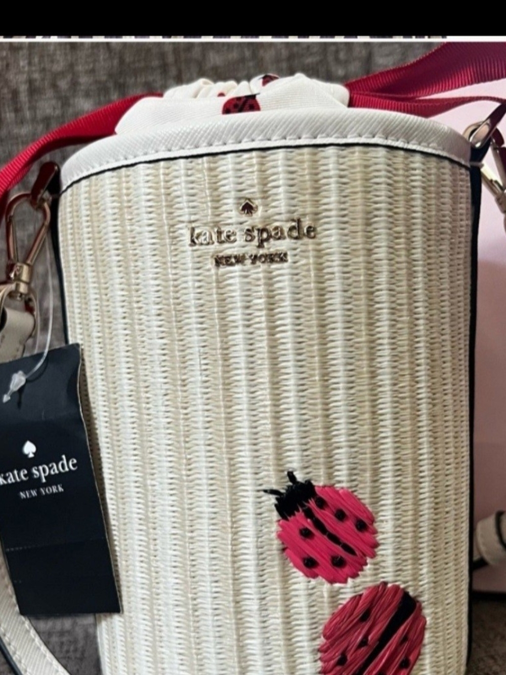 kate spade Cream Crossbody Bag with Embroidered Ladybugs - Picture 2 of 7